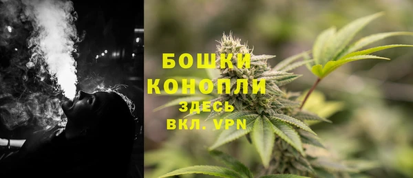 дурь Инта