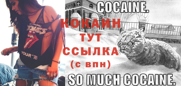 дурь Инта