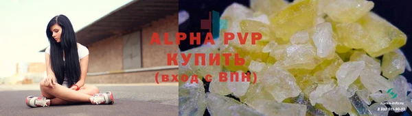 дурь Инта
