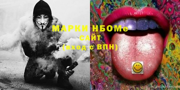 дурь Инта