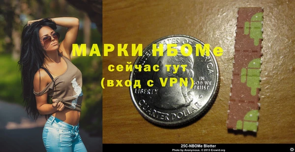 дурь Инта