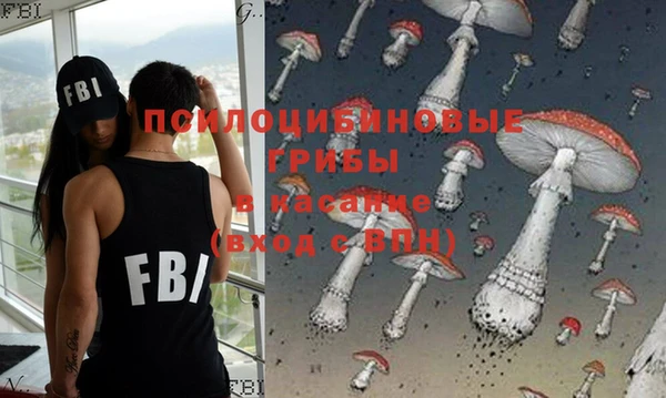 дурь Инта
