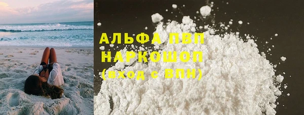 дурь Инта