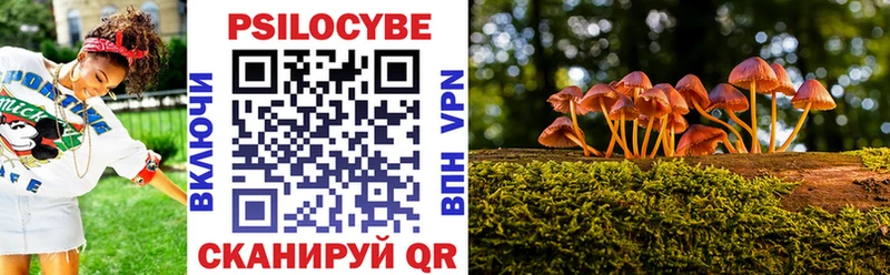 Купить  Покачи  Псилоцибиновые грибы Psilocybe 